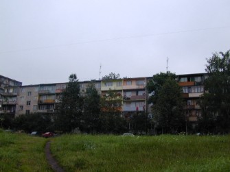 P. Vileišio g. 26, Vilniaus m.