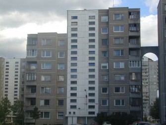 Žemynos g. 29, Vilniaus m.