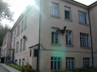 Antakalnio g. 77, Vilniaus m.