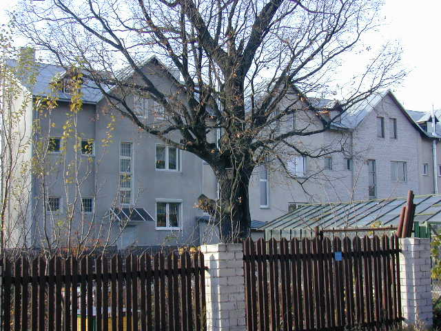 A. Krutulio g. 31, Vilnius