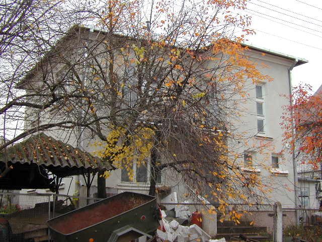 Aviečių g. 4, Vilnius