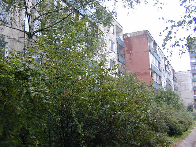 Dariaus Gerbutavičiaus g. 12, Vilnius