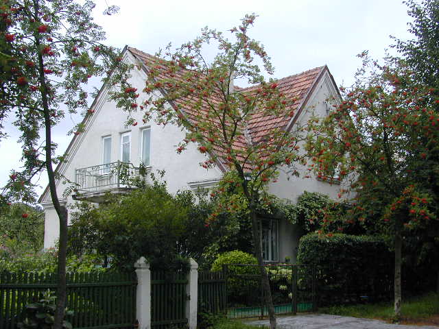 Gulbių g. 11, Vilnius