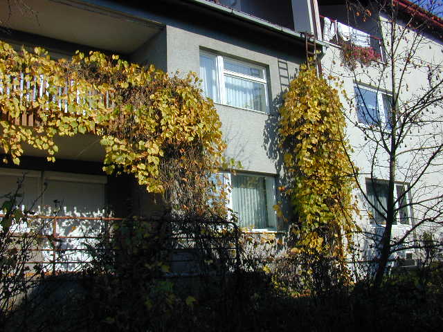 Jūratės g. 17, Vilnius