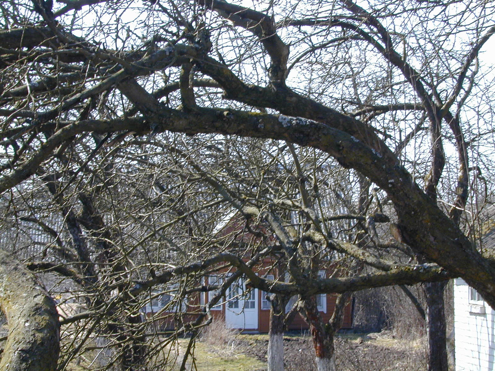 Kazbėjų g. 30, Vilnius