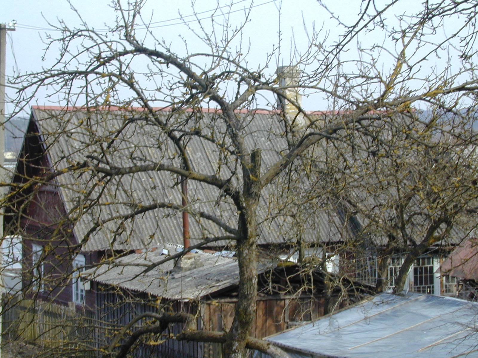 Kiaunių g. 67, Vilnius
