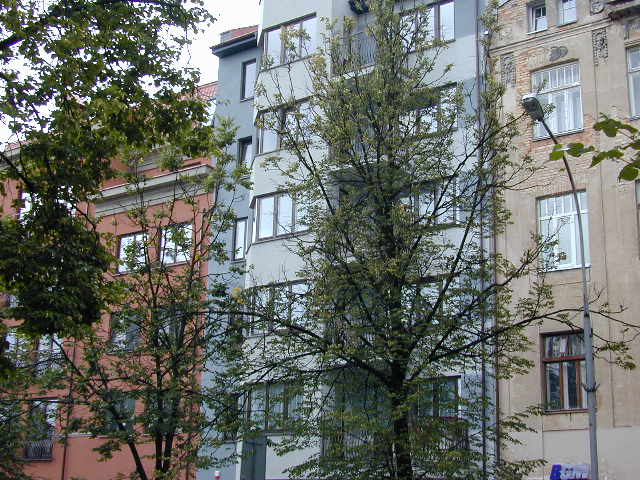 M. K. Čiurlionio g. 19, Vilnius