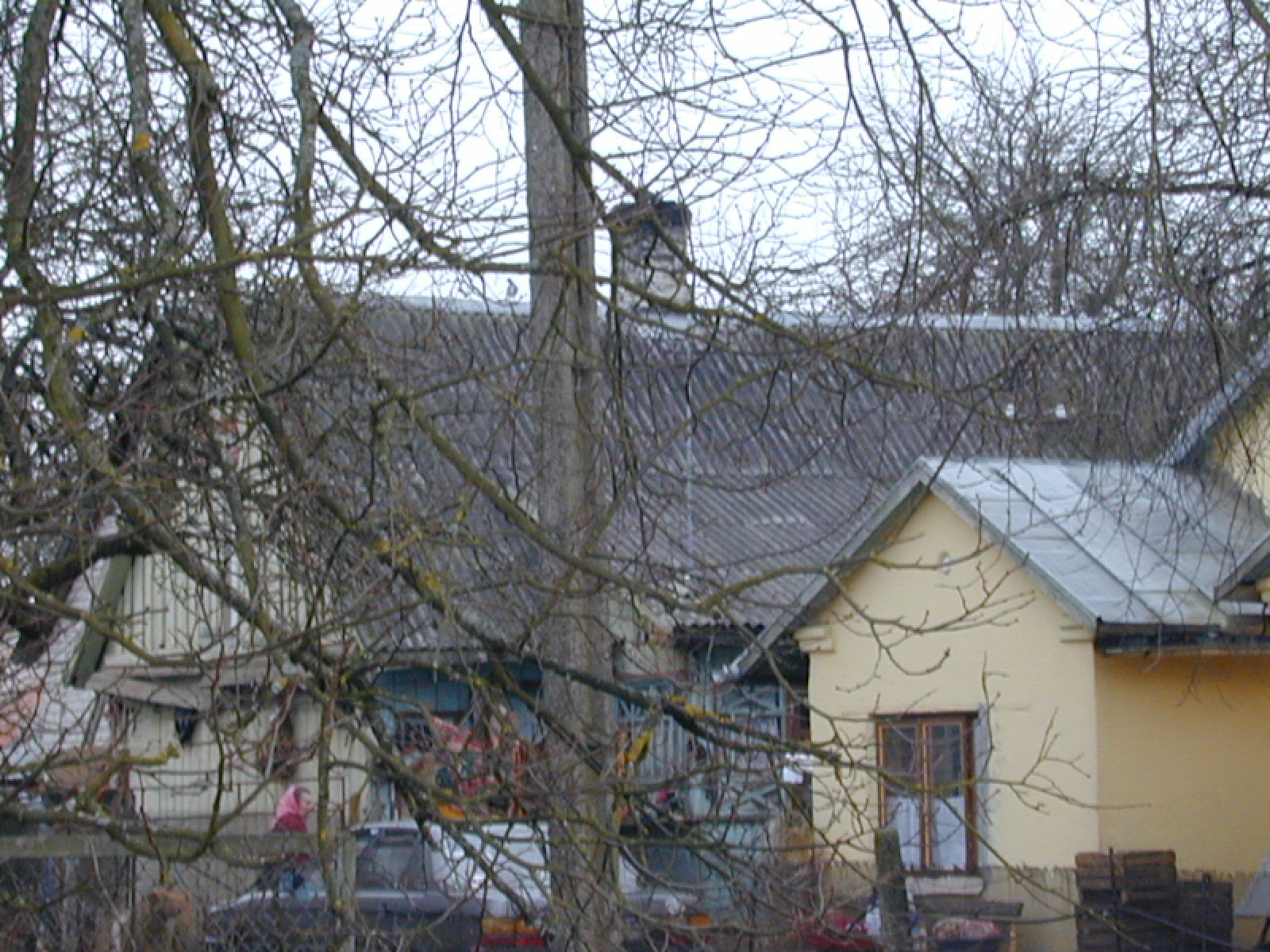 Naujasodžio g. 11, Vilnius