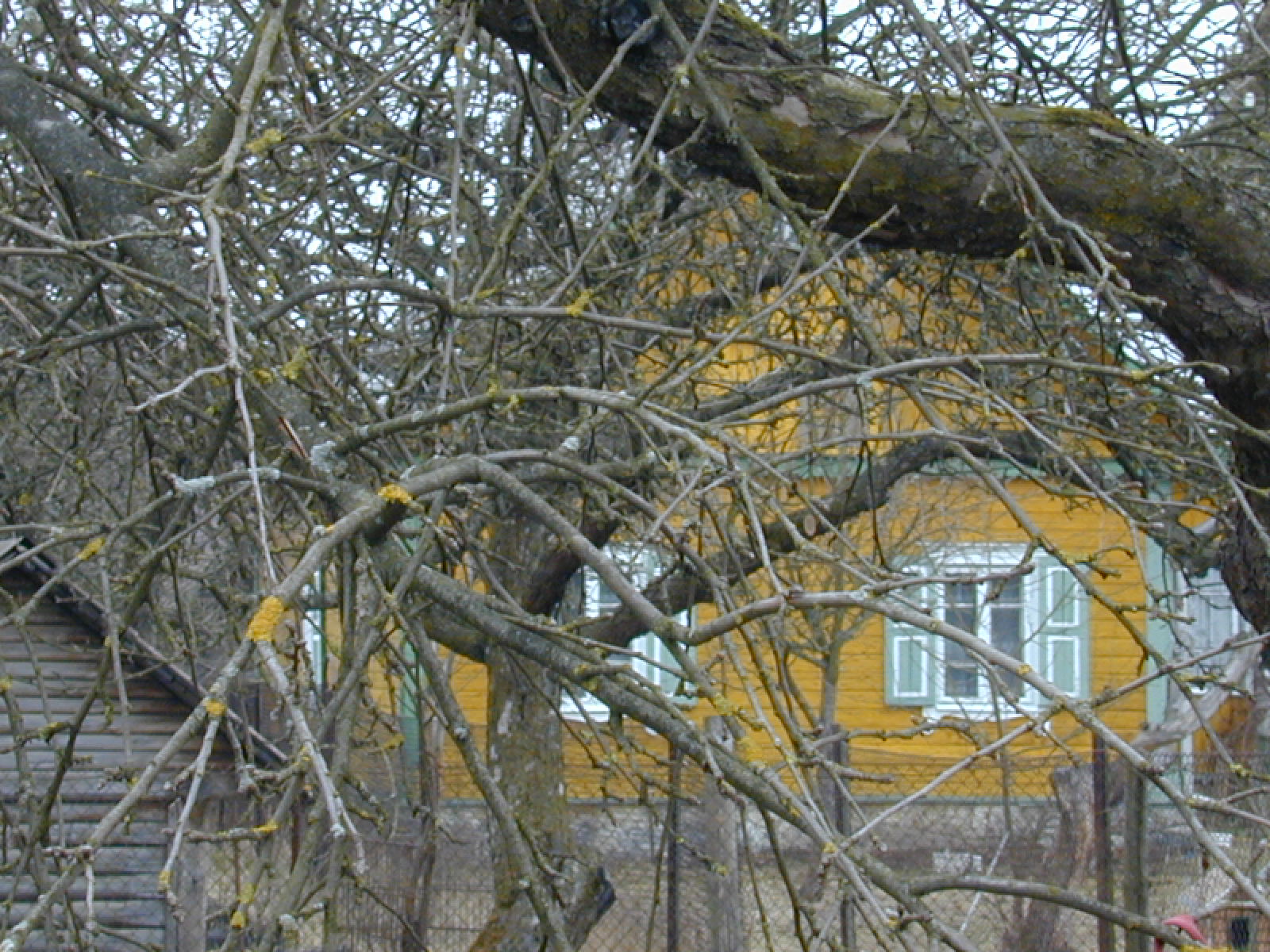Naujasodžio g. 16, Vilnius