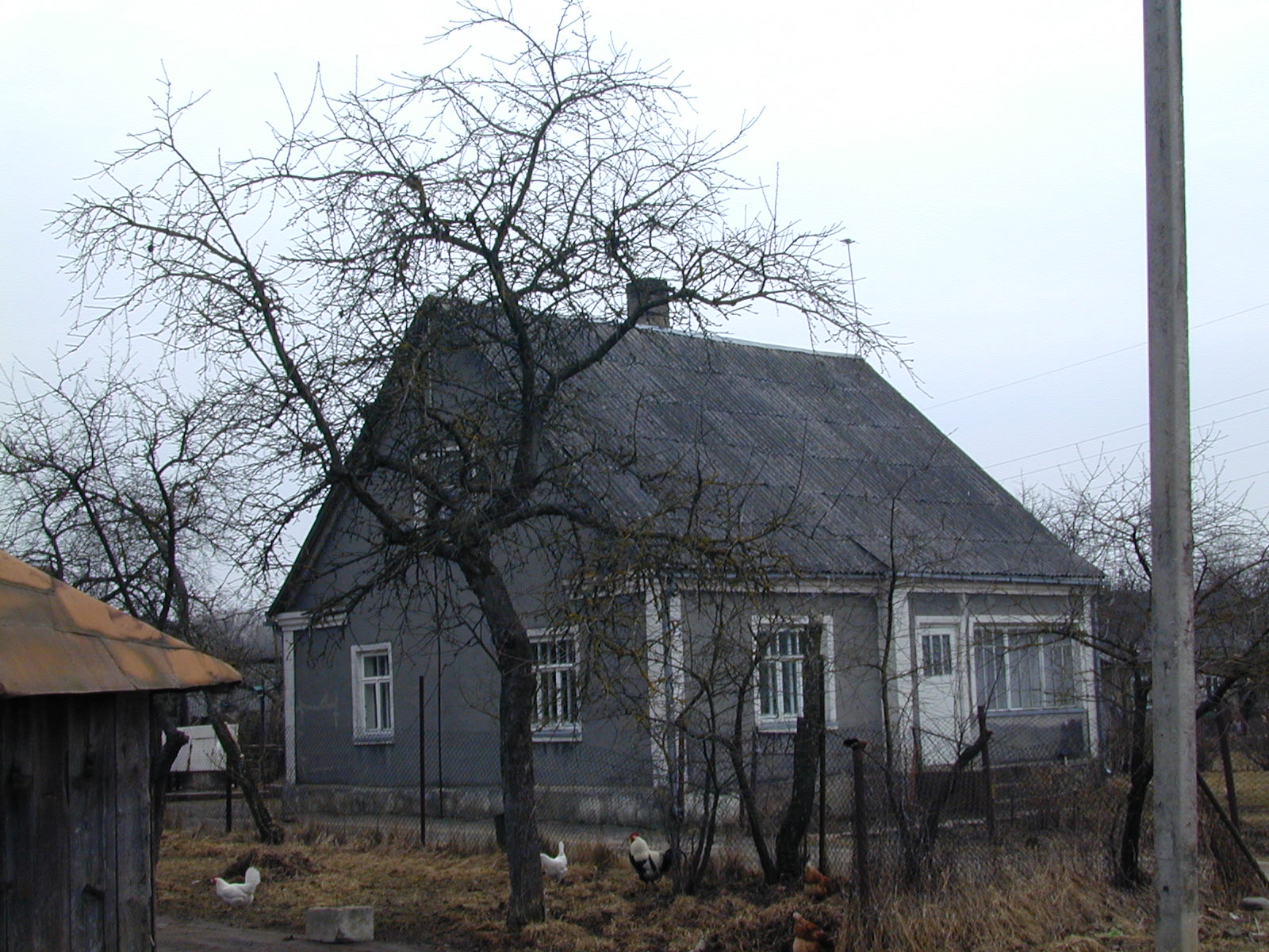 Naujasodžio g. 19, Vilnius