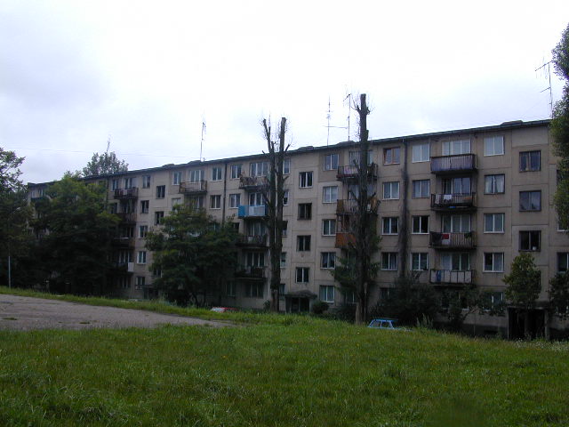 P. Vileišio g. 24, Vilnius