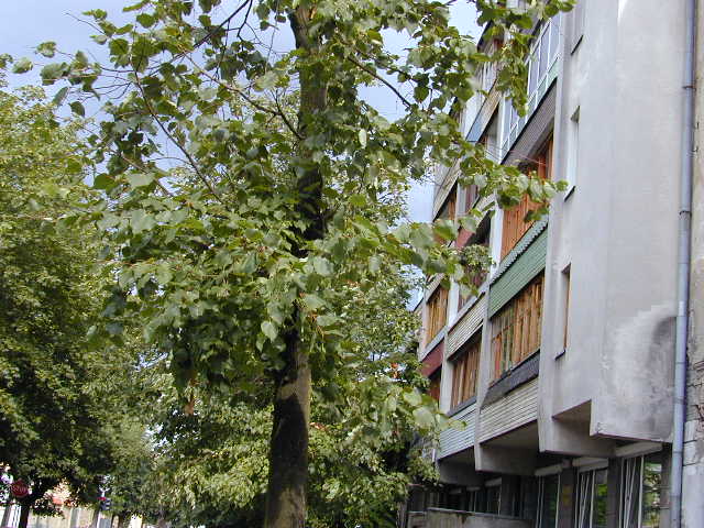 Šaltinių g. 3, Vilnius