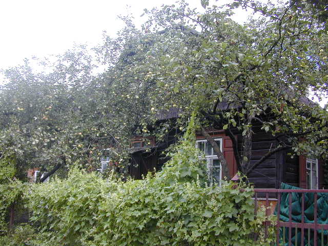 Šilutės g. 15, Vilnius