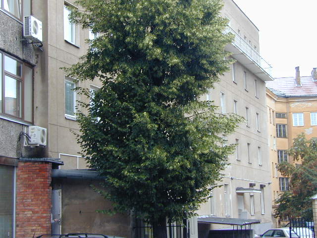 Tylioji g. 4, Vilnius