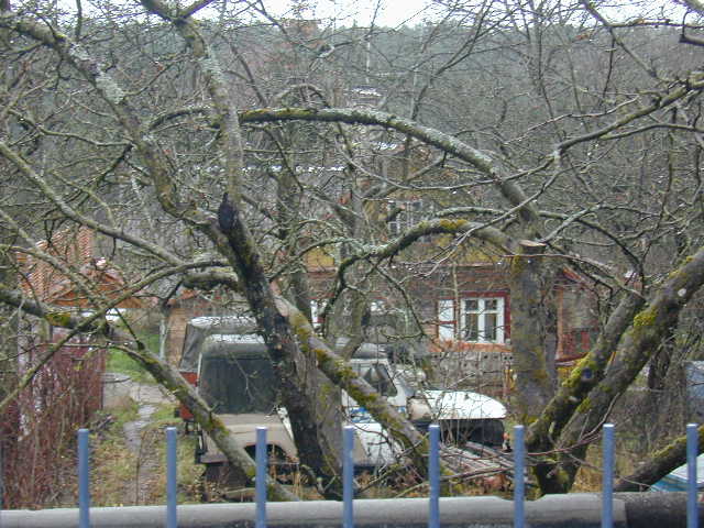 Verkių g. 55, Vilnius