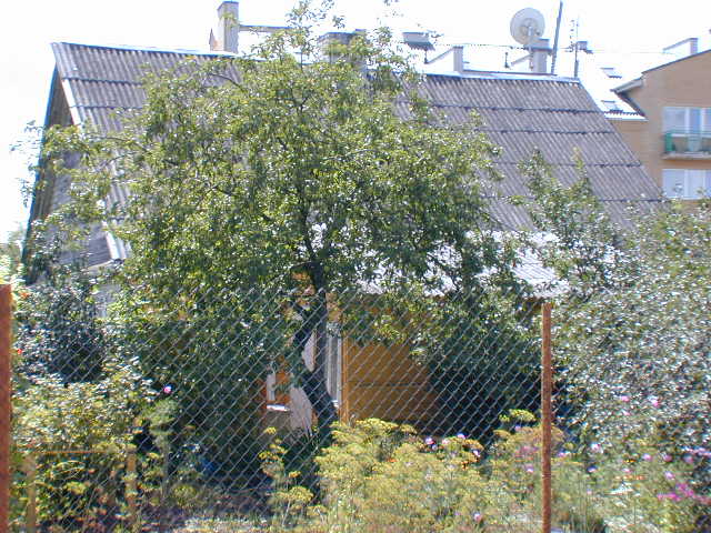 Žirmūnų g. 30, Vilnius