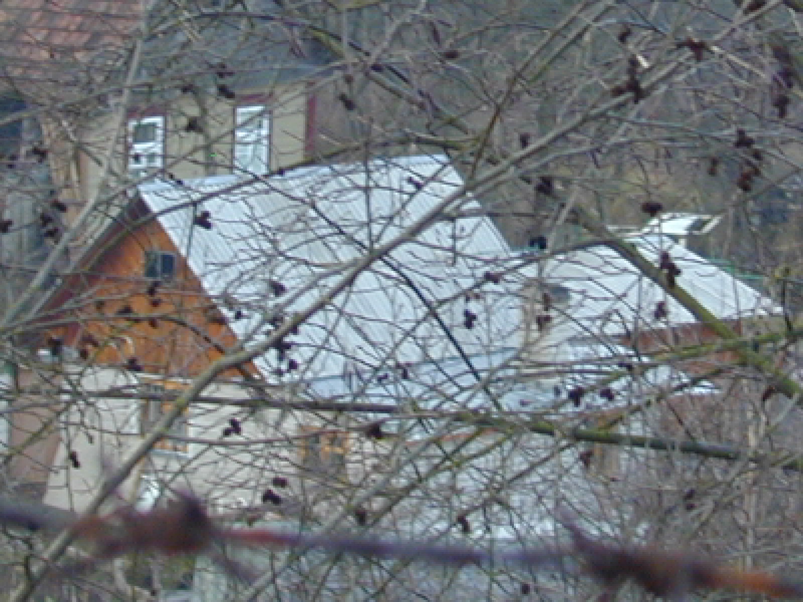 Žirnių g. 64, Vilnius