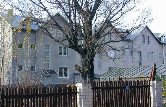 Nuotrauka