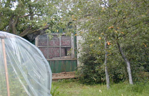 Nuotrauka