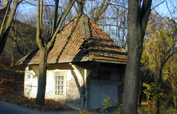 Nuotrauka