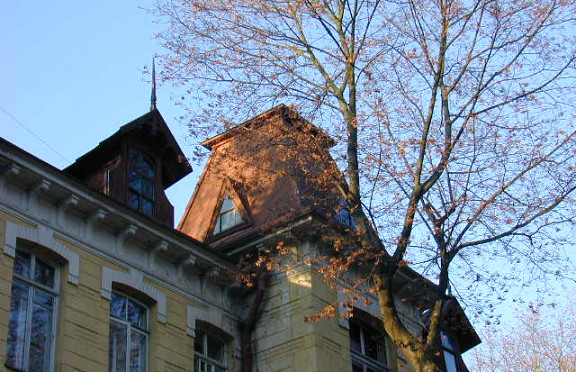 Nuotrauka