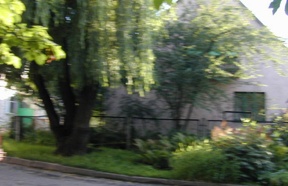 Nuotrauka