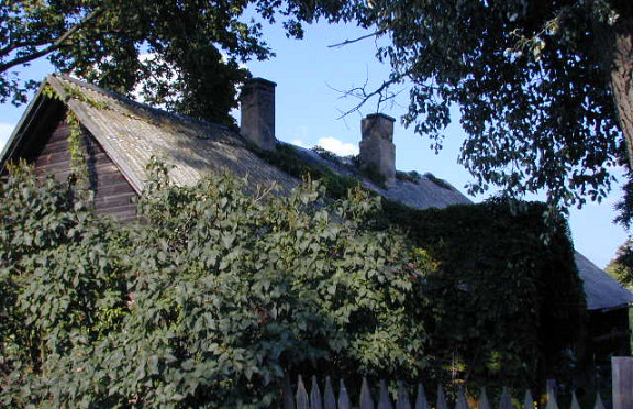 Nuotrauka