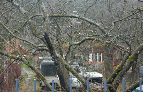 Nuotrauka