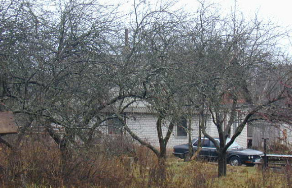 Nuotrauka