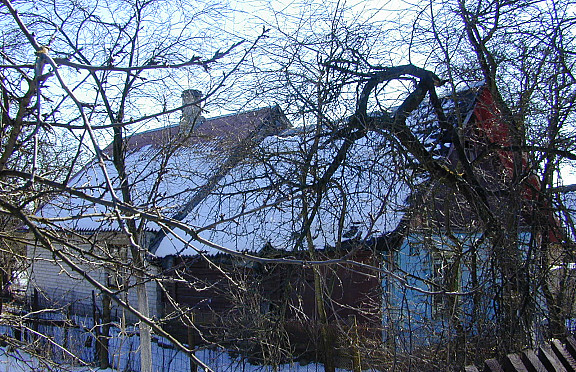Nuotrauka
