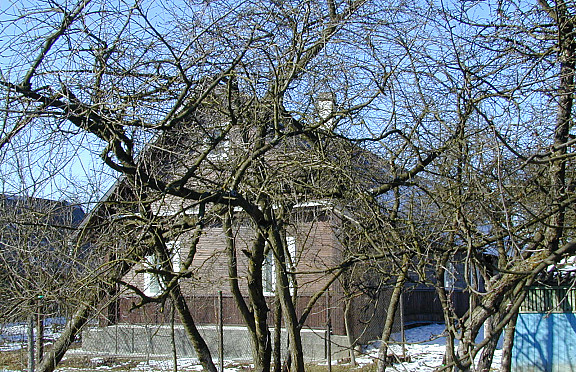 Nuotrauka