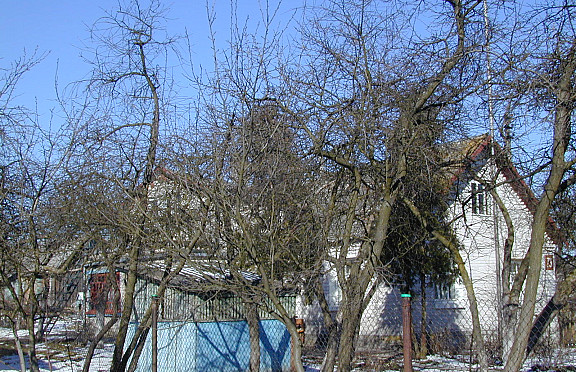 Nuotrauka
