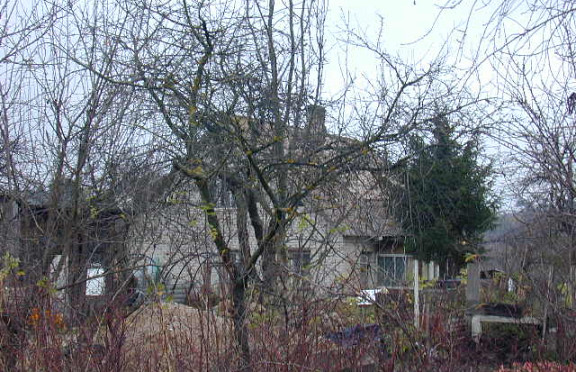 Nuotrauka