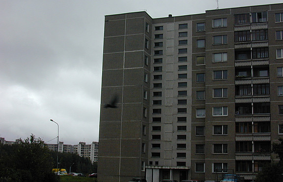 Nuotrauka