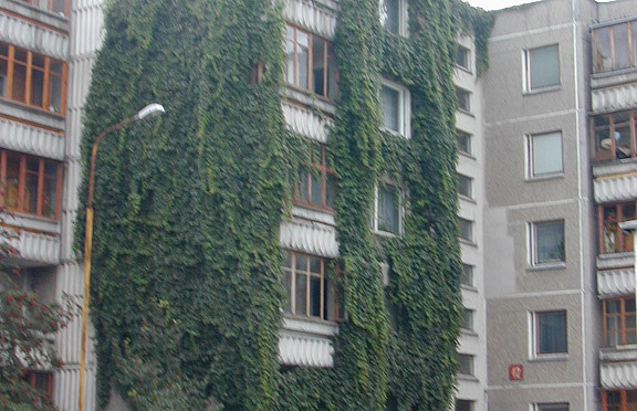 Nuotrauka