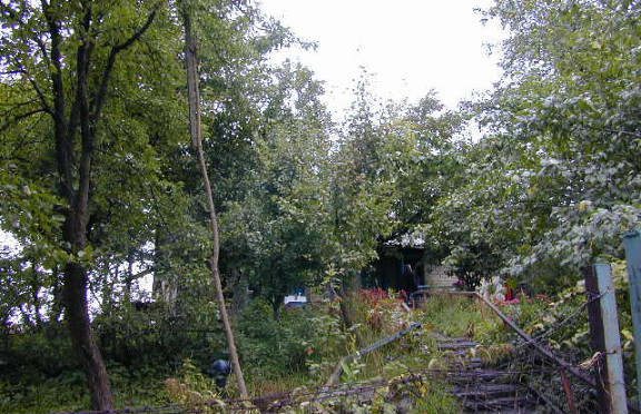 Nuotrauka