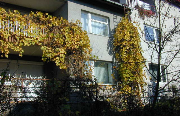 Nuotrauka