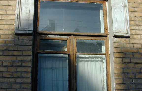 Nuotrauka
