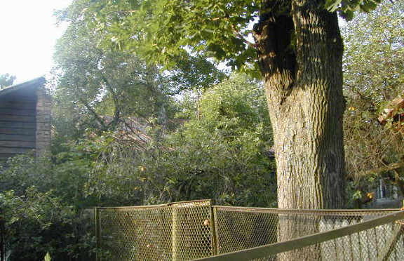 Nuotrauka