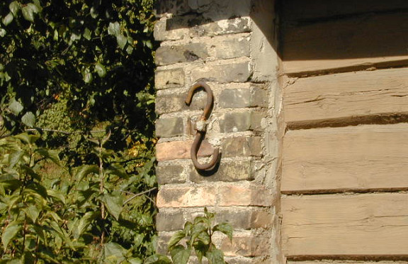 Nuotrauka