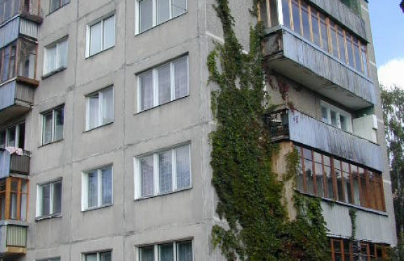 Nuotrauka