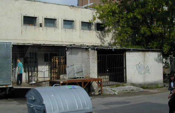 Nuotrauka
