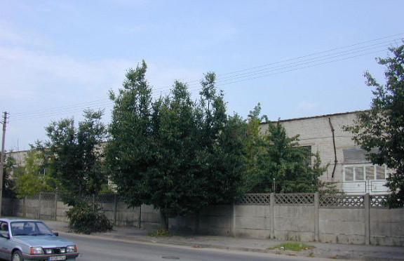 Nuotrauka