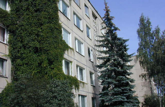 Nuotrauka