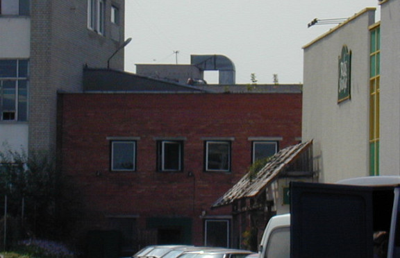 Nuotrauka