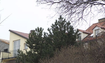 Nuotrauka