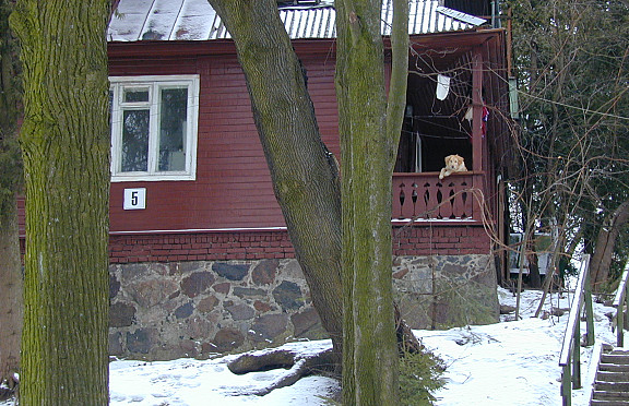 Nuotrauka