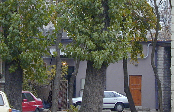 Nuotrauka