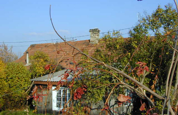 Nuotrauka