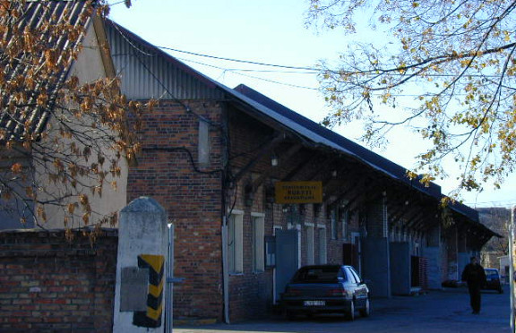 Nuotrauka